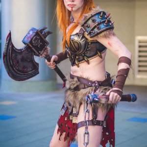 Blizzcon 2016