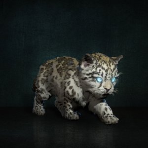 Alkor Snow Leopard Pet